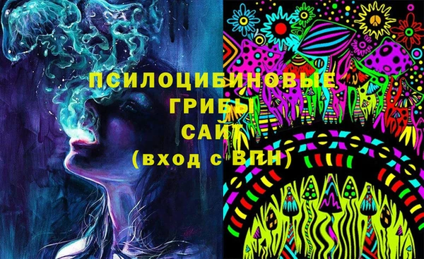 соль ск Вязьма