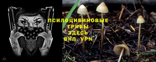 прущая мука Остров