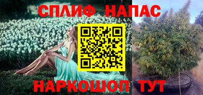 каннабис Берёзовский