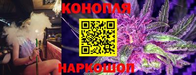 бошки Гагарин