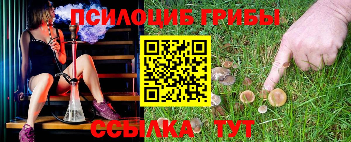 МЕТАМФЕТАМИН Сертолово